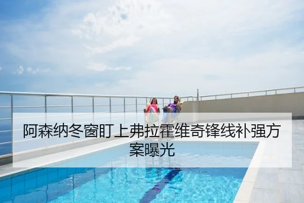 阿森纳冬窗盯上弗拉霍维奇锋线补强方案曝光
